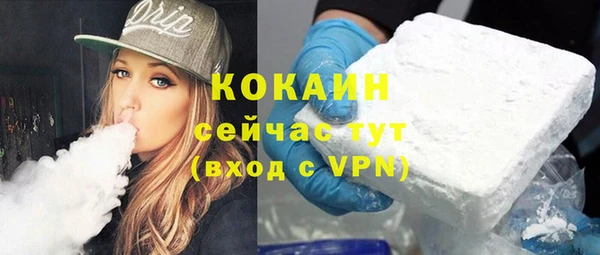 ешки Горняк