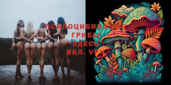 спиды Горнозаводск