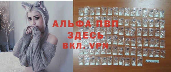 ешки Горняк