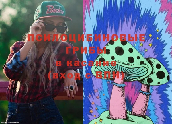 экстази Михайлов