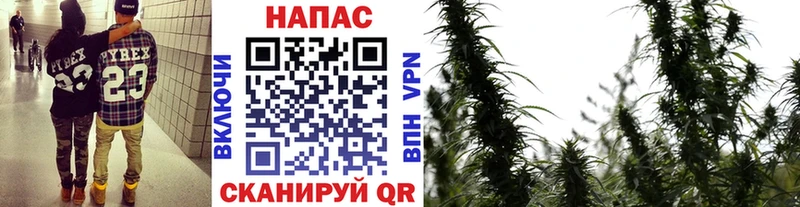 где можно купить наркотик blacksprut Конопля VHQ Зверево